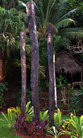 Highland Paradise, Drums of Our Forefathers, Rarotonga