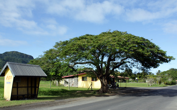  Rarotonga