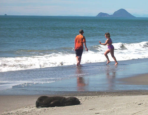 Kids and seal pup