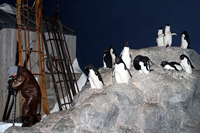 International Antarctic Centre, Christchurch After the Earthquakes