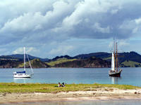 R Tucker Thompson, Bay of Islands, NZ