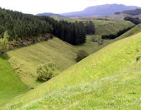Countryside near Waimangu