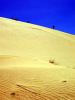 Giant Sand Dunes, Te Paki, NZ