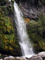 Dawson Falls, Taranaki, New Zealand