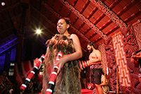 Maori Concert Party, Waitangi Treaty Grounds, Bay of Islands, New Zealand