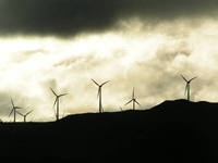 Wind Farms, Woodville, NZ