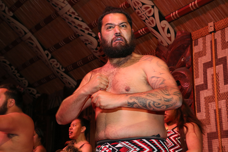 Maori Concert Party, Waitangi Treaty Grounds, Bay of Islands